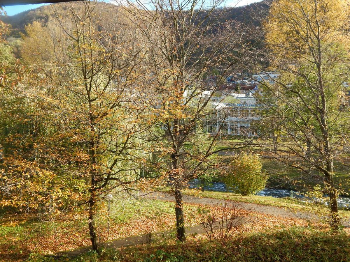 Free Apartment - Bei Den Thermen Bad Urach Kültér fotó