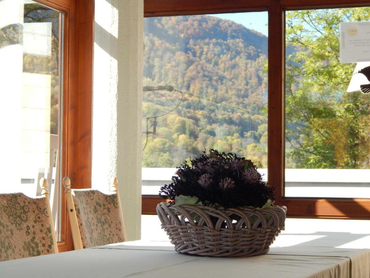Free Apartment - Bei Den Thermen Bad Urach Kültér fotó
