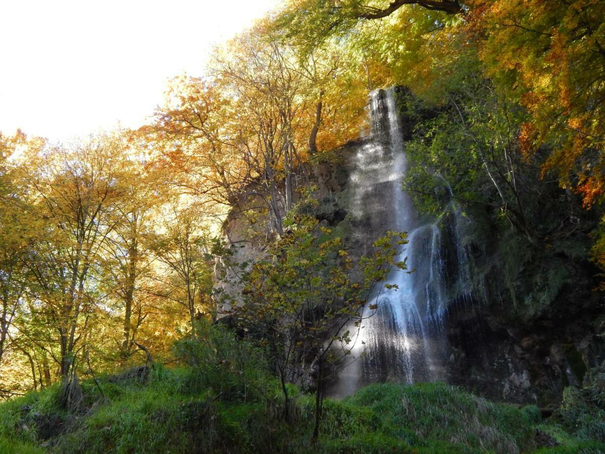 Free Apartment - Bei Den Thermen Bad Urach Kültér fotó