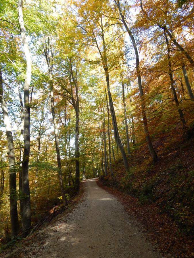 Free Apartment - Bei Den Thermen Bad Urach Kültér fotó