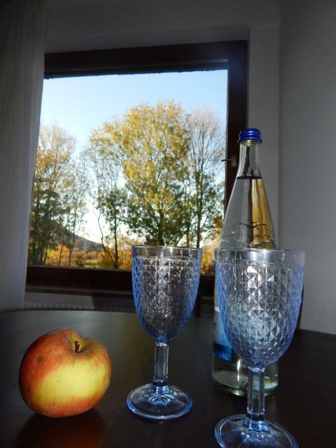 Free Apartment - Bei Den Thermen Bad Urach Kültér fotó