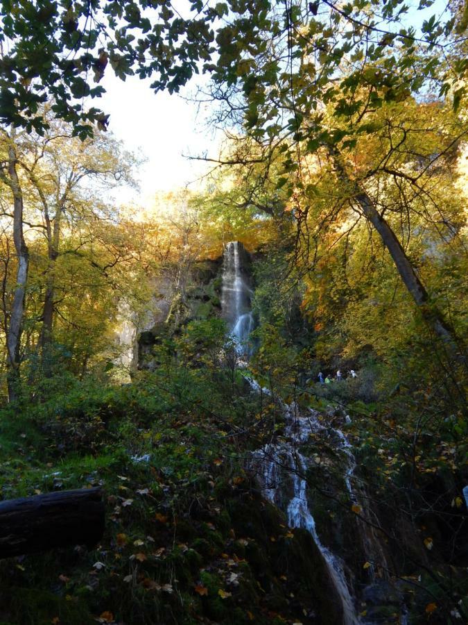 Free Apartment - Bei Den Thermen Bad Urach Kültér fotó