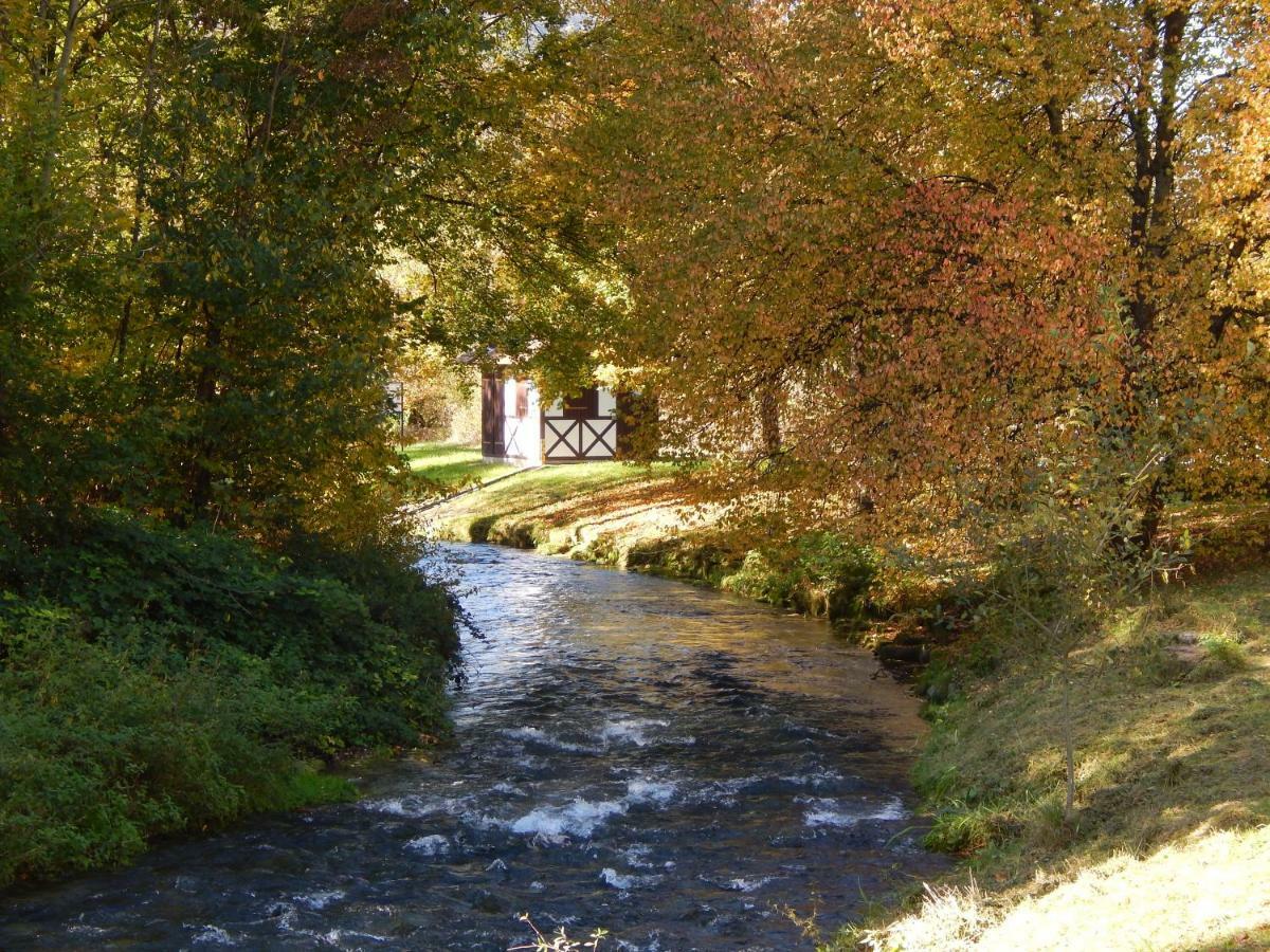 Free Apartment - Bei Den Thermen Bad Urach Kültér fotó