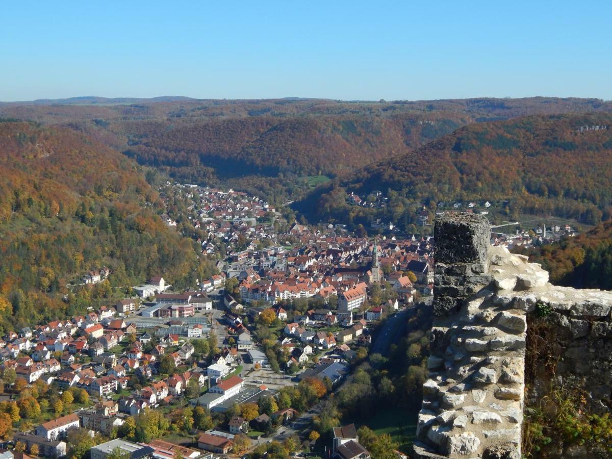 Free Apartment - Bei Den Thermen Bad Urach Kültér fotó