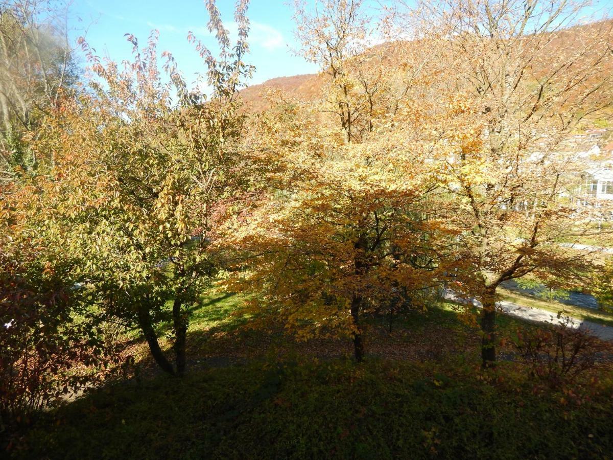 Free Apartment - Bei Den Thermen Bad Urach Kültér fotó